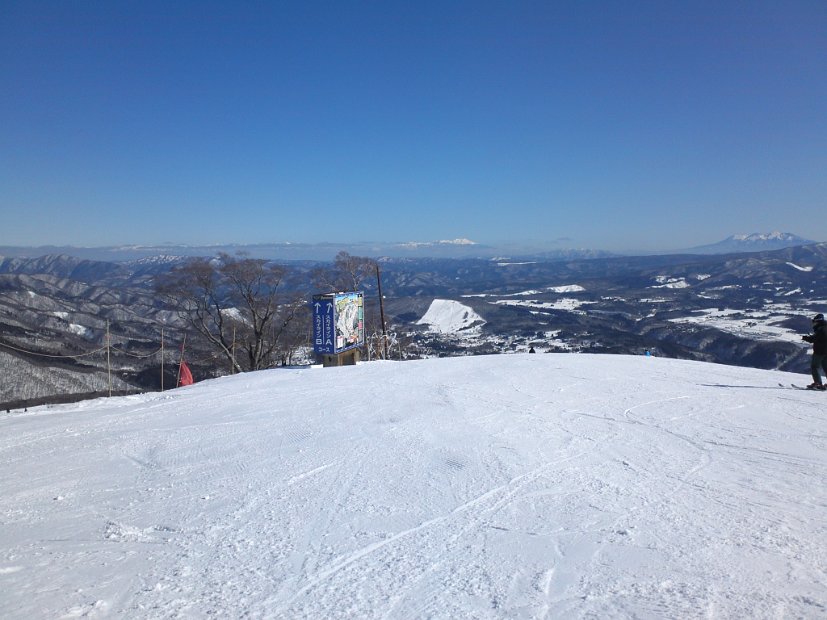 [Dynaland 2011-2012]