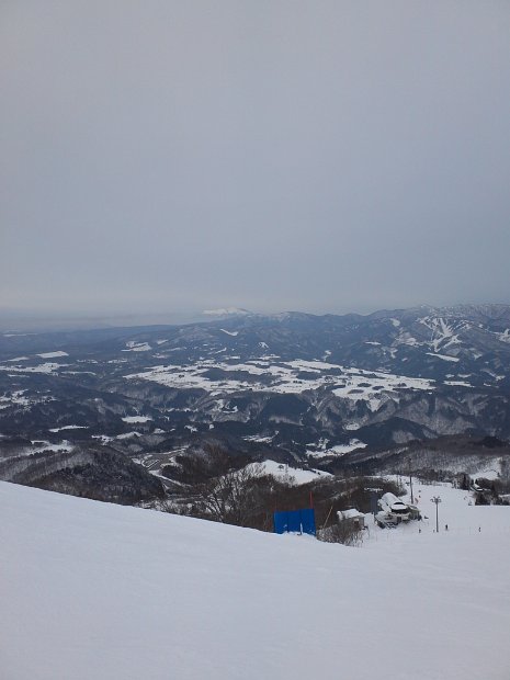 [Dynaland 2011-2012]