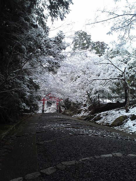 [滋賀　日吉大社]