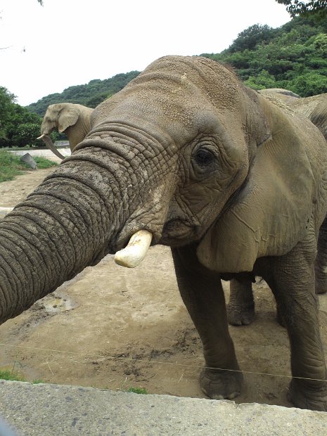 [姫路セントラルパーク]