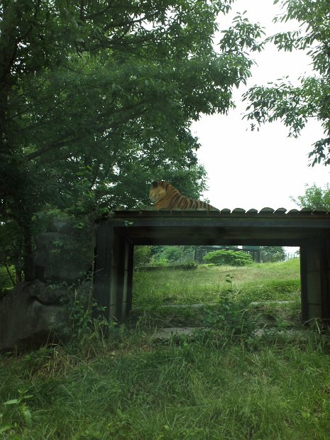 [姫路セントラルパーク]