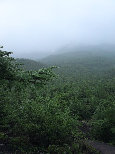 [クリーン・キャンペーン in Mt.FUJI]