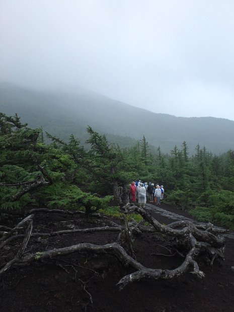 [クリーン・キャンペーン in Mt.FUJI]