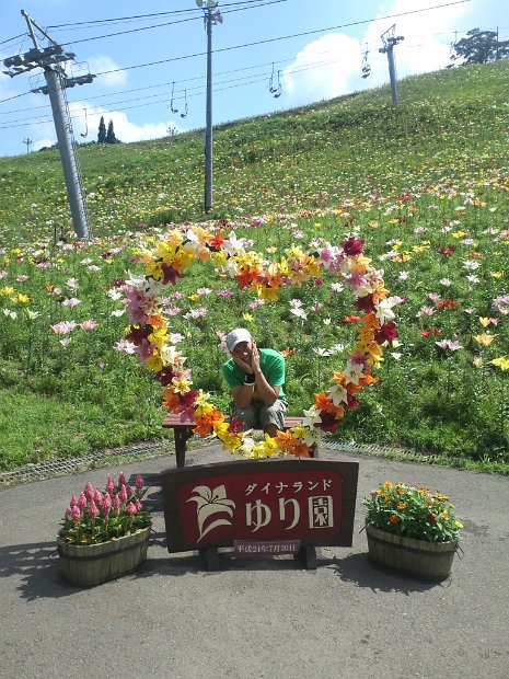 [ダイナランド ゆり園]