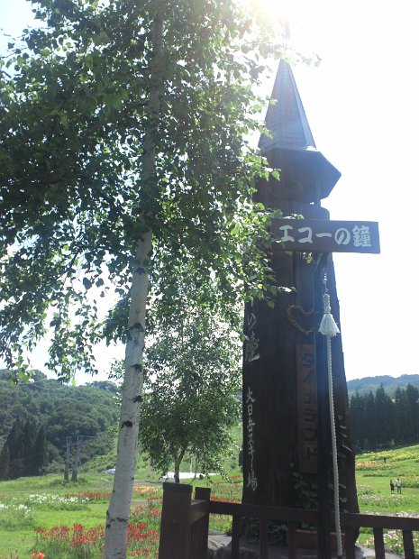 [ダイナランド ゆり園]