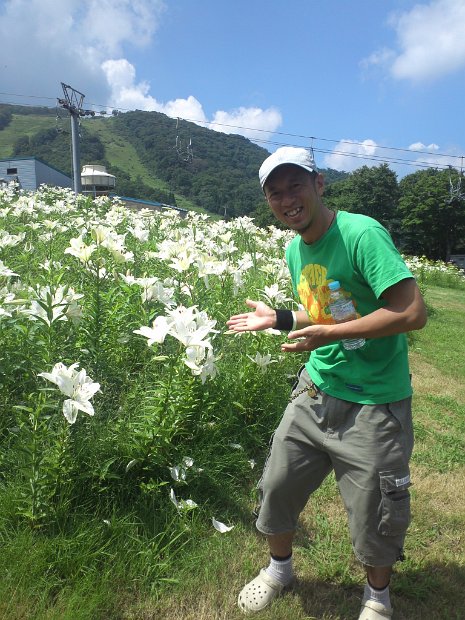 [ダイナランド ゆり園]